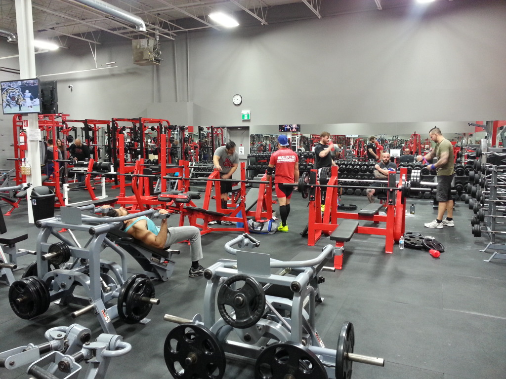 Iron Fitness Strength Club 24 hour Gym Markham Stouffville
